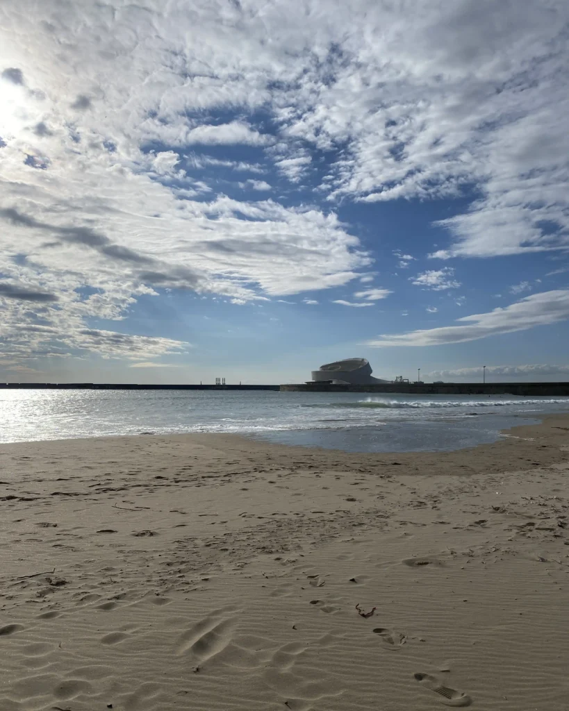 Praia de Matosinhos